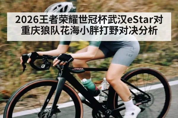 2026王者荣耀世冠杯武汉eStar对重庆狼队花海小胖打野对决分析